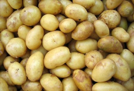 Skins Decals - potatoes