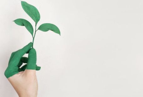 Eco-friendly - Person's Left Hand Holding Green Leaf Plant