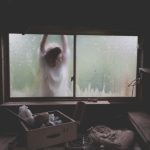 Storage Upgrade - woman leaning on window